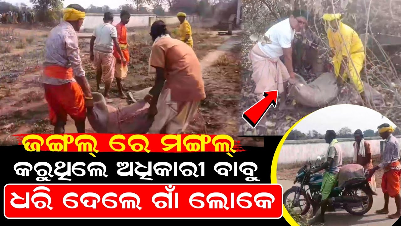 ଜଙ୍ଗଲ୍ ରେ ମଙ୍ଗଲ୍ କରୁଥିଲେ ଅଧିକାରୀ ବାବୁ ଧରି ଦେଲେ ଗାଁ ଲୋକେ