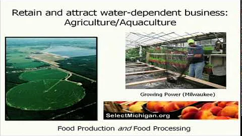 TEDxMuskegon - Alan Steinman - Blue Water Economy