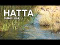 Hatta Underground Water Stream - Dubai UAE