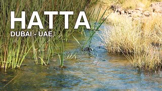 Hatta Underground Water Stream - Dubai UAE