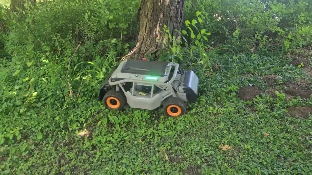 My entry for Mowrator Mowlympics 2025 for @Mowrator 