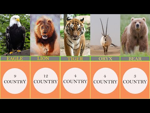 Video: Simbol hewan. Apa yang dilambangkan oleh kura-kura, beruang, singa? Hewan apa yang disucikan di negara mana
