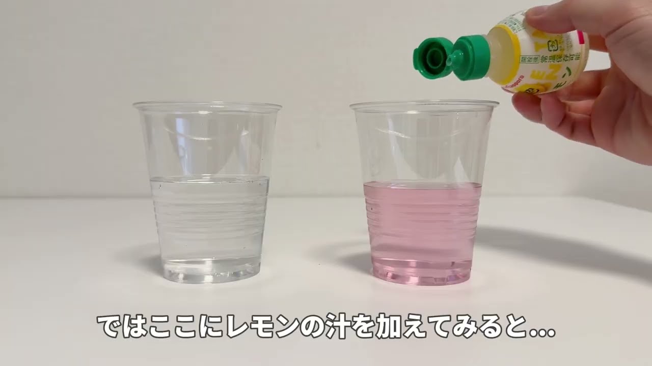 交換カートリッジ 定期お届けサービス