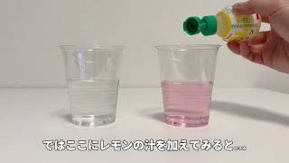 交換カートリッジ 定期お届けサービス