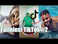 TikTok Theme: Funniest TikTok Compilation | May 2020 #2