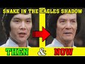 Jackie chans snake in the eagles shadow cast then and now