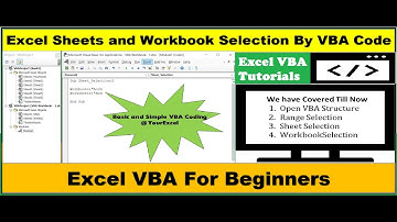 Sheet Selection by VBA Code || Excel VBA For Beginners