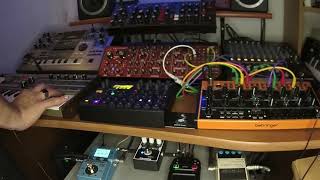 KINDREAD PROJECT - SILLY FEARS -  live synth jam