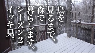 《イッキ見２》水曜どうでしょうハウスで野鳥観察の刑。シーズン２（四日目〜十日目）