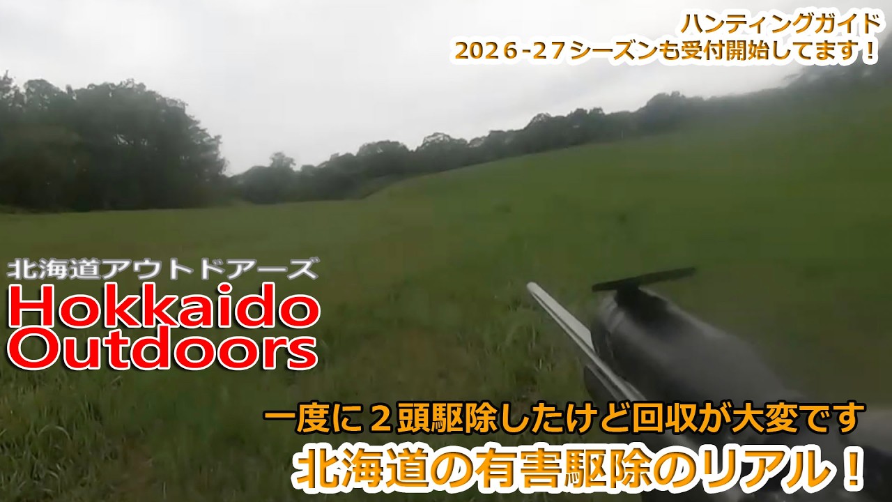 有害鳥獣駆除】有害シーズン終盤！回収が大変だ！【エゾシカ】 - YouTube
