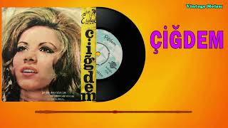 Çiğdem - Birgün Beni Arayacaksın / Orijinal Plak Kaydı