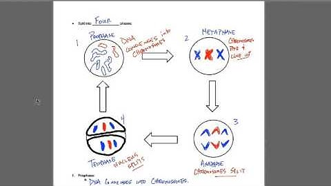 Online Video in the Flipped Classroom: Jing - Video for students
