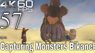Final Fantasy X HD Remaster Part 57 Capturing Monsters Bikanel Final Fantasy X Complete Walkthrough Part 71 Bikanel Monster Arena Capture Guide
