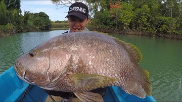 Papuan Black Bass & Spot Tail Bass in Maluku, Indonesia (Trailer)