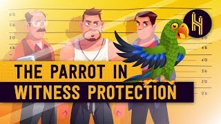 Why This Parrot is in Witness Protection