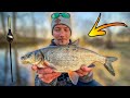 Float Fishing in Small River (How Many Species Can We Catch?!) | Team Galant