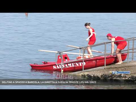 DELFINO A SPASSO A BARCOLA: LA DIRETTA A SVEGLIA TRIESTE | 23/06/2023