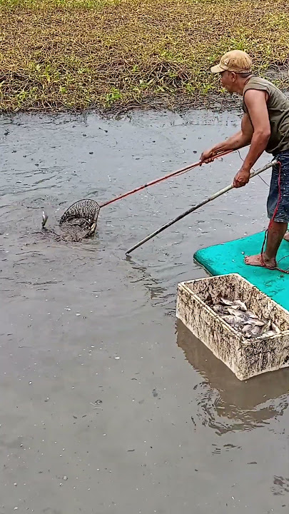 boiling water exposed to high voltage #fishing #advanture #videotrending #buhayprobinsya