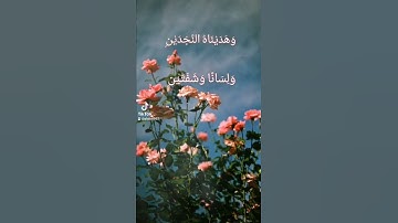 تلاوة من الزمن الجميل للشيخ راغب غلوش