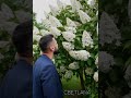 Весна. Хочется уже такую весну #клип #музыка