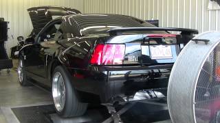 Procharged 2003 Mach 1 dyno 450 RWHP (~520 crank)
Supercharged Mach 1. The smoke is because the tune wasnt finished, it was running rich there. Final numbers 448 RWHP, 418 RWTQ on just 6 PSI. The tuner thought he could get another 30 HP, but its a daily so I want to keep it safe. Dyno sheet: http://i.imgur.com/UOKO8WI.jpg Procharged 2003 Mach 1 dyno 450 RWHP (~520 crank)