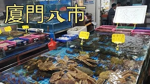 厦门八巿，大头小头，卡卡也来过。就在中山步行街旁边，到晚上12点还有，晚上11.12点一样热闹 - 天天要闻