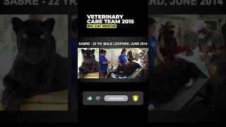 Vet Care Presentation by Dr. Boorstein~part 49 of 59 by Big Cat Rescue 421 views 2 months ago 1 minute, 1 second