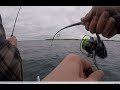 Ostsee Dorsche | Lübecker Bucht // 2018