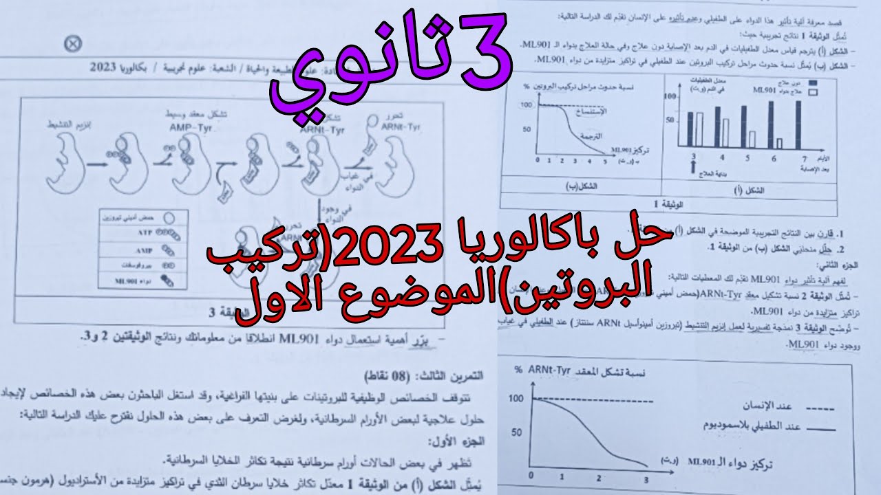 حل تمرين تركيب البروتين الوارد في باكالوريا 2024شعبة علوم تجريبية الموضوع الاول في العلوم الطبيعة