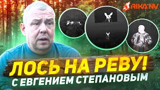 видео: Лось на Реву! Евгений Степанов про то, как манить лося в брачный сезон! Ночная охота с тепловизором. картинка: Лось на Реву! Евгений Степанов про то, как манить лося в брачный сезон! Ночная охота с тепловизором.