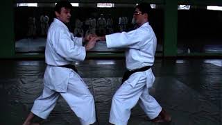 Блоки в традиционном карате-до. Отработка ротации и контрротации тела |  How to do karate blocks