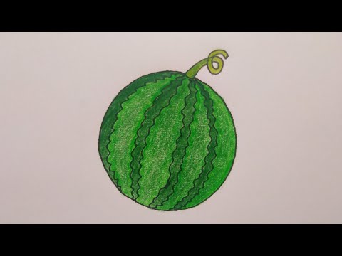 สอนวาดแตงโม🍉How​ to​ Draw Watermelon​ for​ beginner​ | My​ Sky​ Channel.