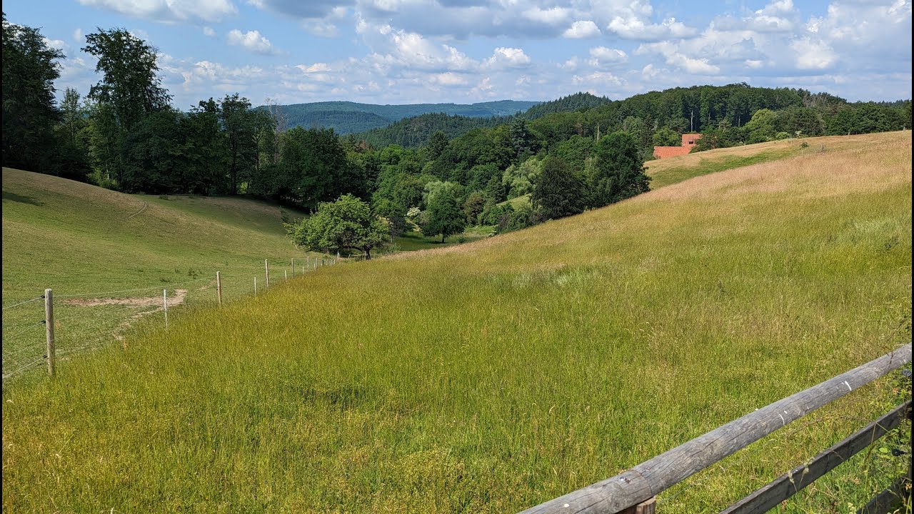 HW26 in 4K: Laudenbach, Juhöhe, Kreiswald, Rimbach (Etappe 1)