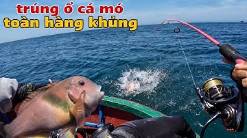 câu cá biển bằng mồi tôm đất cực kỳ hiệu quả