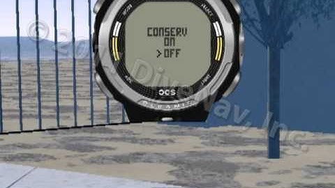 Oceanic OCS Dive Computer - Online Class m2s1