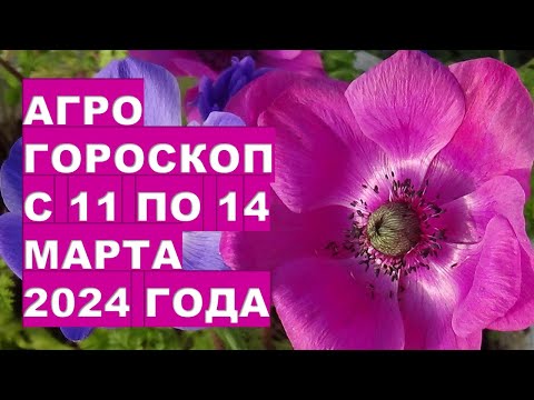 Агрогороскоп с 11 по 14 марта 2024 года Agrohoroscope from March 11 to March 14, 2024