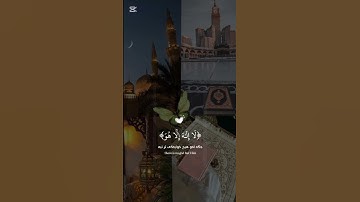 سورة المزمل (الآية ٨ - ٩) القارئ عبد الرحمن مسعد #عبدالرحمن_مسعد