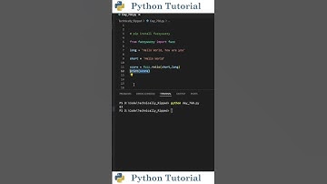 Partial Fuzzy Match In Python | Python Tutorial