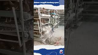 Advanced Chicken Coop System Quickly Cleans Chicken Droppings