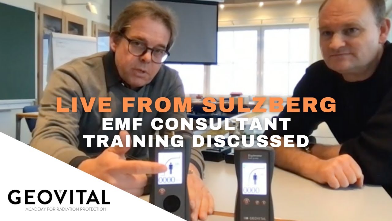 EMF Consultant work, philosophy, academy & training explained LIVE