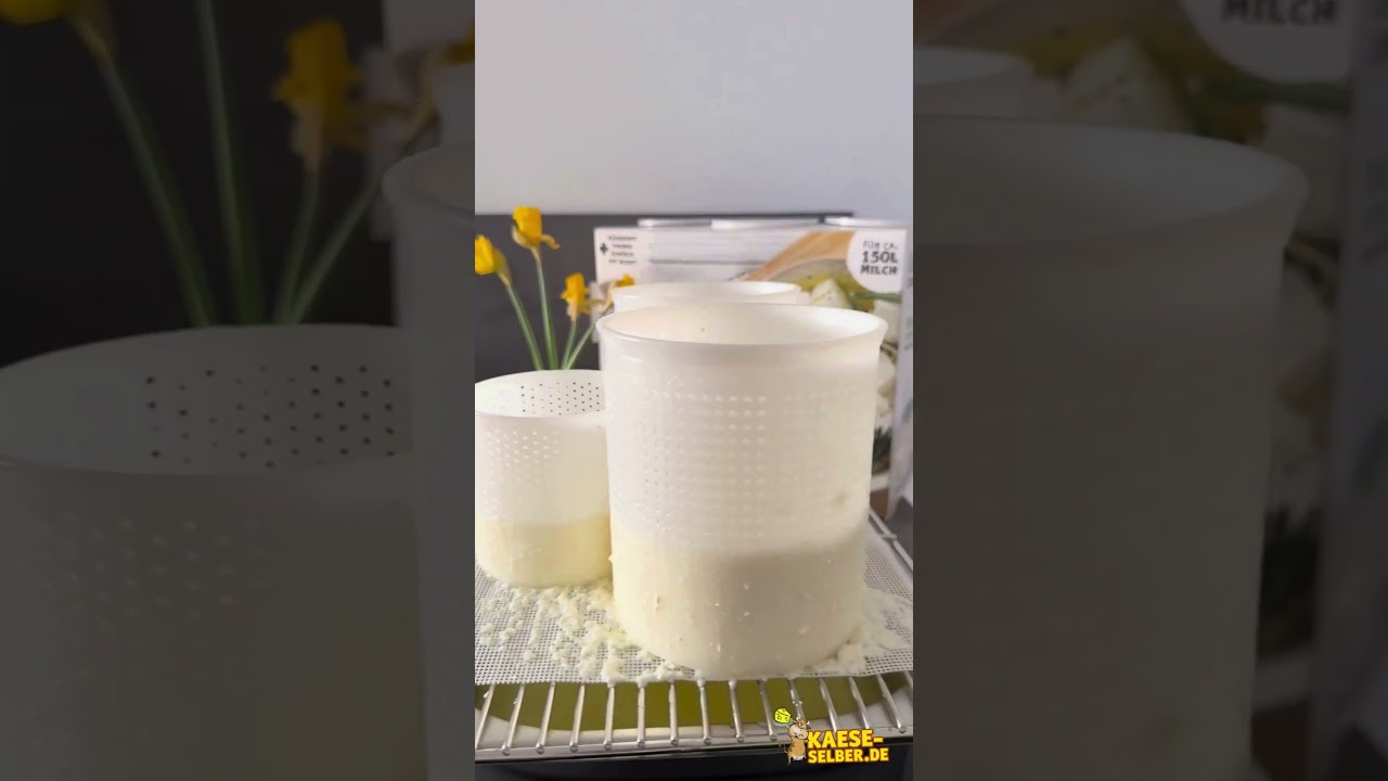 Feta herstellen teil 2