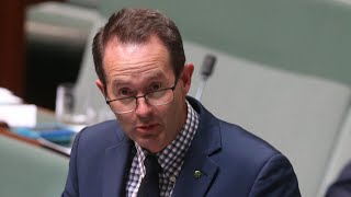 Senator Payman would know pro-Palestine chant is ‘incendiary comment’: Andrew Wallace