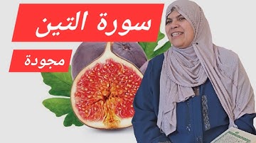 قراءة نموذجية جماعة.. لسورة التين بالتحقيق.... واستخراج احكام التجويد منها/احلى قراءة