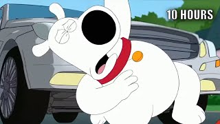 Brian Griffin Death Scene 10 Hours