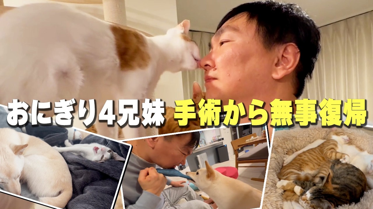 【成長日記#3】生後半年で手術…4兄妹みんな無事復帰しました！