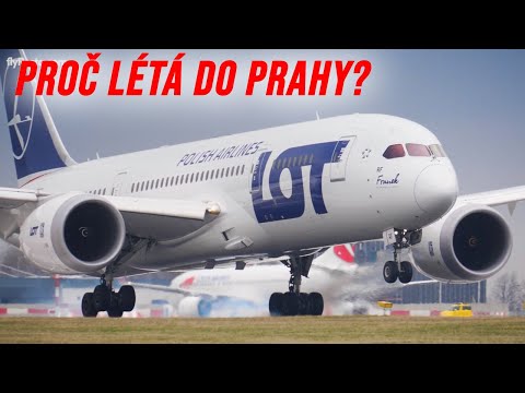 Video: Které letecké společnosti létají do Belize z Atlanty?