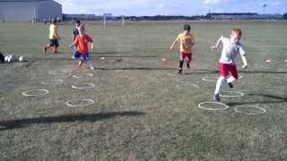 Speed Rings 1 Foot In Each Ring