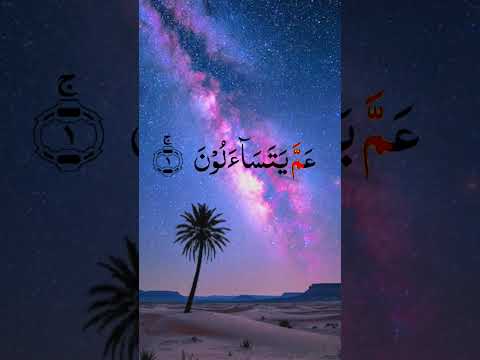 Surah An Naba | 1-6
