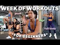 Week of workouts  4day beginner split to be consistent in the gym