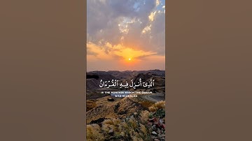 سوره البقره سعد الغامدي  حالات واتس